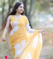 Soft Georgette Saree GS - 501